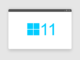Windows 11